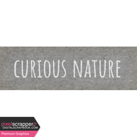 Naturally Curious Curious Nature Word Art Snippet 