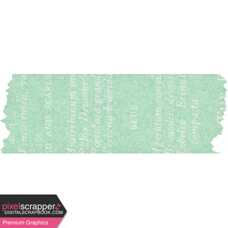 Naturally Curious Washi Tape Green