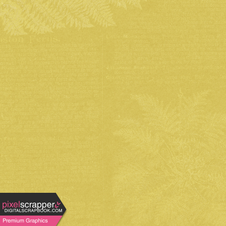 Naturally Curious Ferns Print Paper