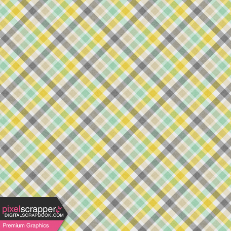 Naturally Curious Plaid Paper 2