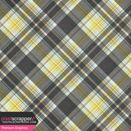 Naturally Curious Plaid Paper 10