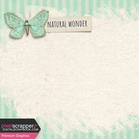 Naturally Curious Natural Wonder 4x4 Journal Card