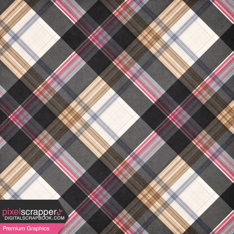 Mulberry Bush Plaid Paper 11