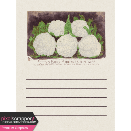 Garden Notes Cauliflower Journal Card 3x4