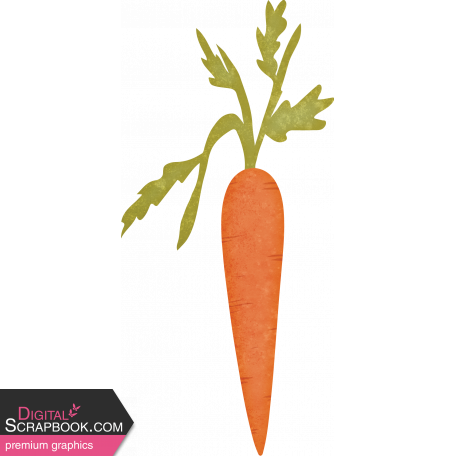 Homestead Life:  Spring Carrot 2