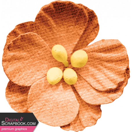 Homestead Life:  Spring Orange Flower