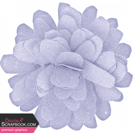 Rainy Days Lavender Flower 2