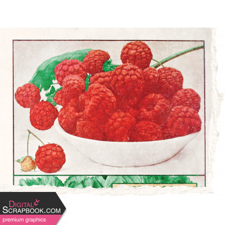 Summer Medley Element Raspberries Ephemera