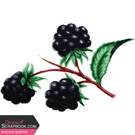 Summer Medley Element Vintage Black Raspberries