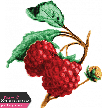 Summer Medley Element Vintage Raspberries