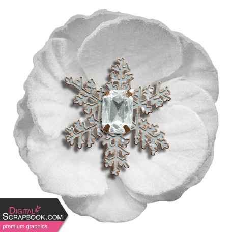 Cozy Mornings White Snowflake Flower