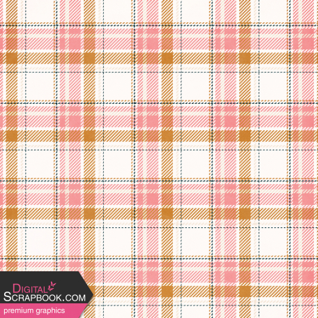 Extra Paper Large Plaid 02