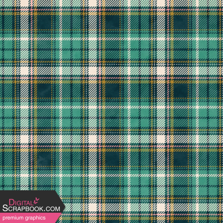 Extra Paper Large Plaid 04