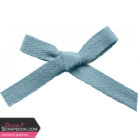 Feathers & Fur Light Blue Bow