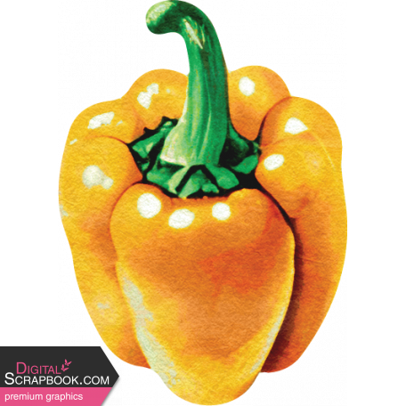 Farmer's Market Orange Bell Pepper Sticker