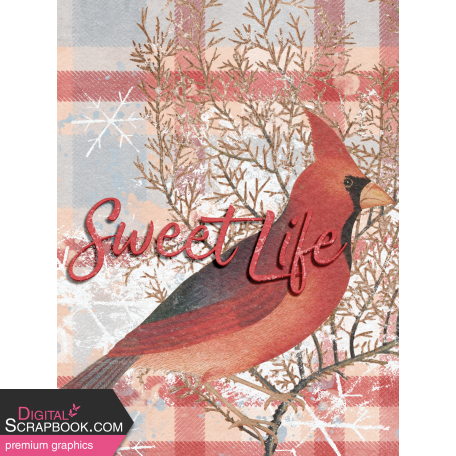 Winter Woods Cardinal 3x4 Journal Card