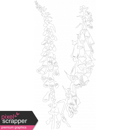 Foxglove Illustration