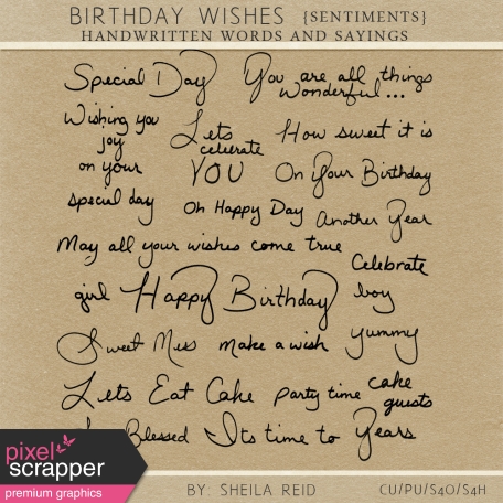 Birthday Wishes Sentiments Kit