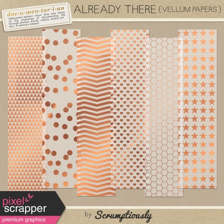 Already There Copper Vellum Papers