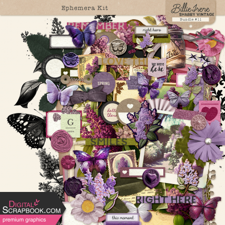 Shabby Vintage #11 Ephemera Kit