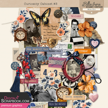 Curiosity Cabinet #3 Mini Kit