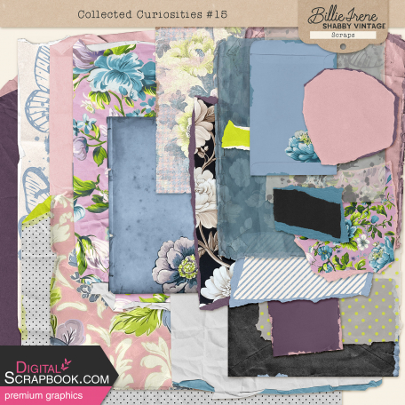 Collected Curiosities #15 Scraps Kit