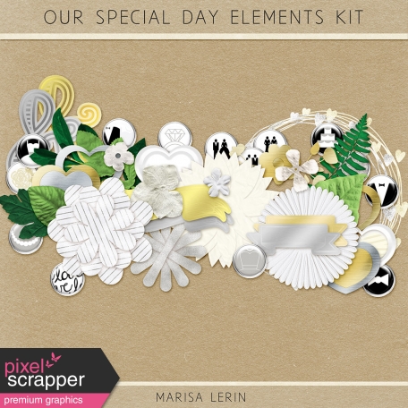 Our Special Day Elements Kit