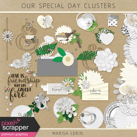 Our Special Day Clusters Kit