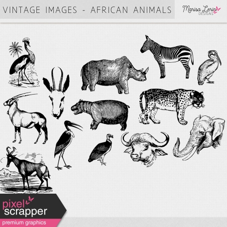 Vintage Images Kit - African Animals