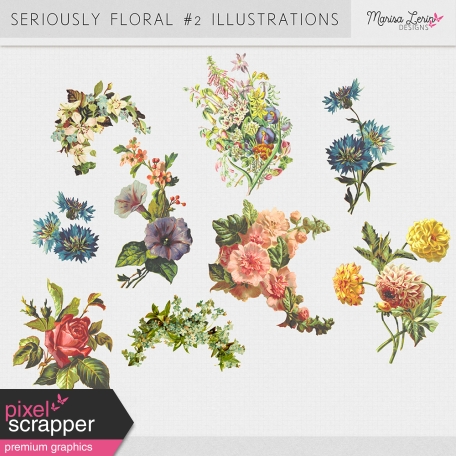Seriously Floral #2 Illustrations Kit