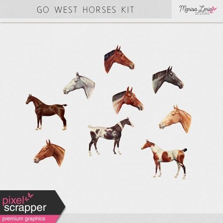 Go West Horses Kit