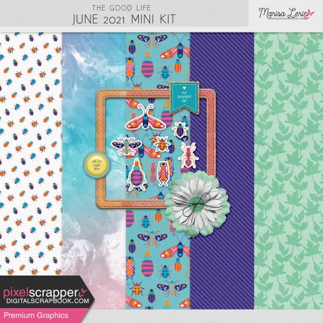The Good Life: June 2021 Mini Kit Kit