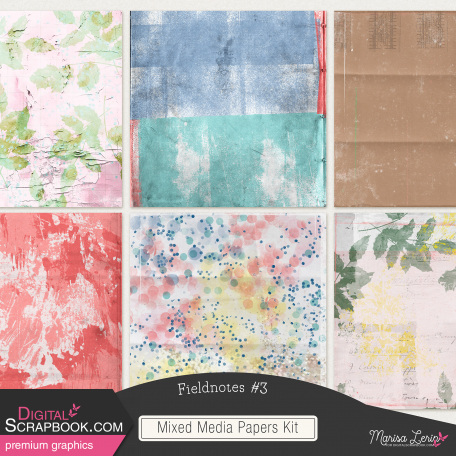 Fieldnotes #3 Mixed Media Papers Kit