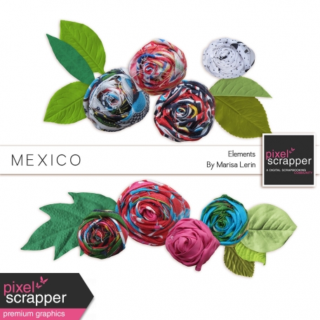 Mexico Flowers Kit