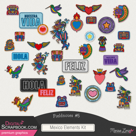 Fieldnotes #5 Mexico Elements Kit