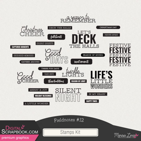 Fieldnotes #12 Stamps Kit