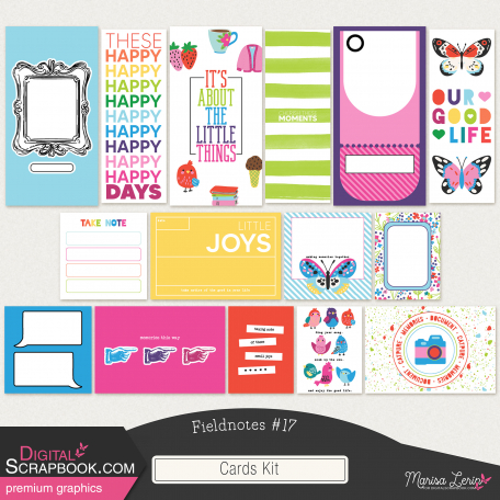 Fieldnotes #17 Cards Kit