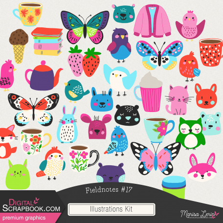 Fieldnotes #17 Illustrations Kit