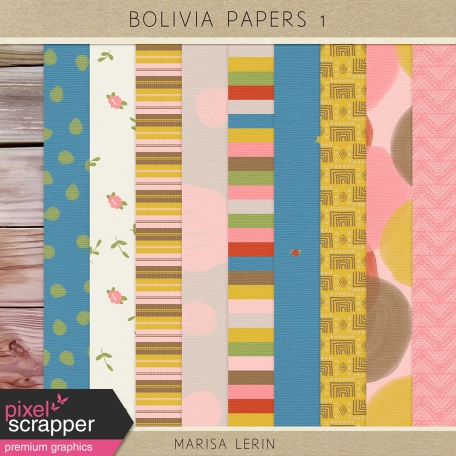 Bolivia Papers Kit #1