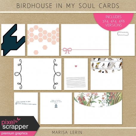 Birdhouse In My Soul Cards Kit