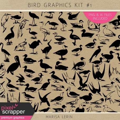 Bird Graphics Kit #1