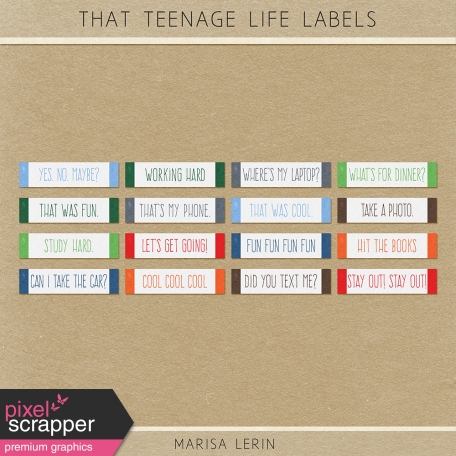 That Teenage Life Labels Kit