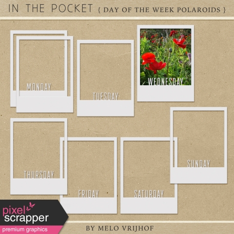 In The Pocket - Polaroids