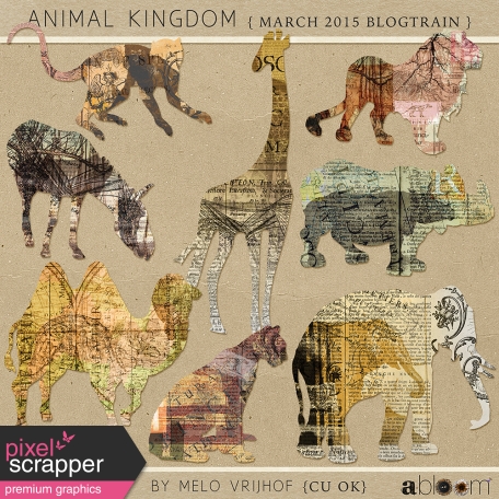 Animal Kingdom - Zoo Collage