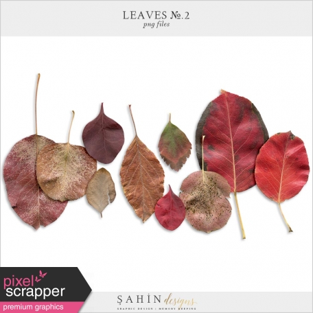 Leaves No.2