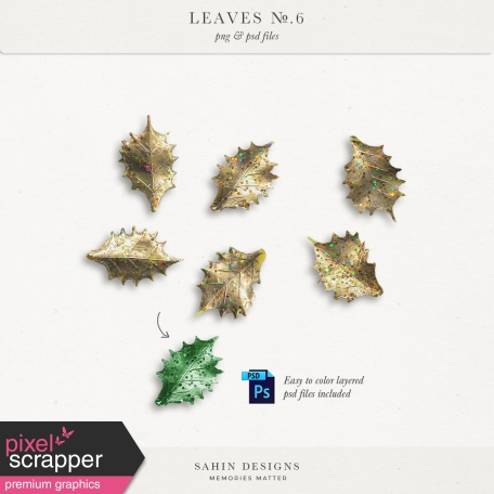 Leaves No.6