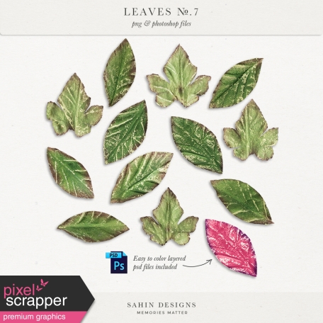Leaves No.7
