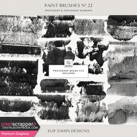 Paint Brushes No.22