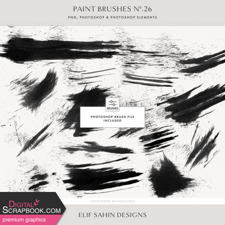 Paint Brushes No.26