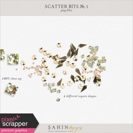 Scatter Bits No.1